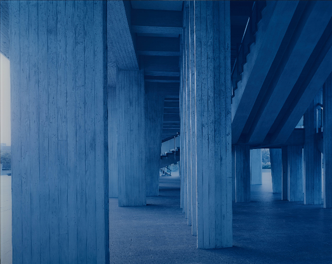 ホンマタカシ-ケンゾウへのオマージュ