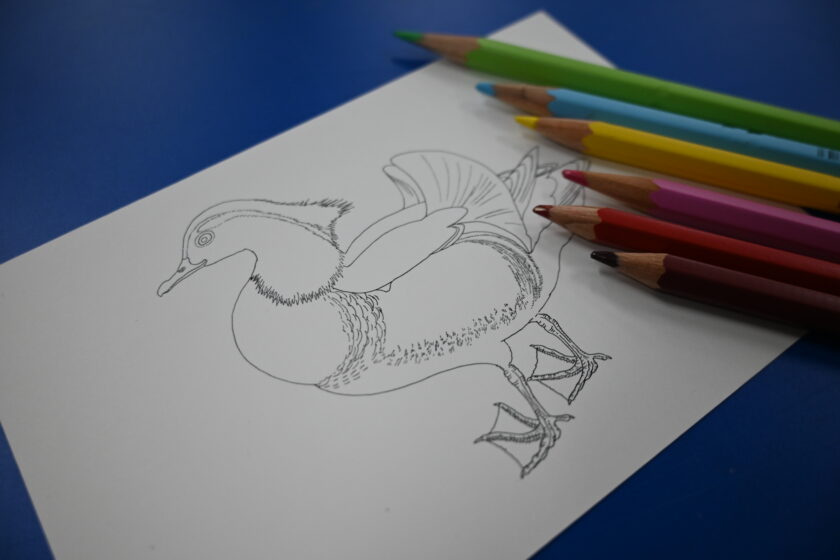 ゴールデン・ウィーク・スペシャル