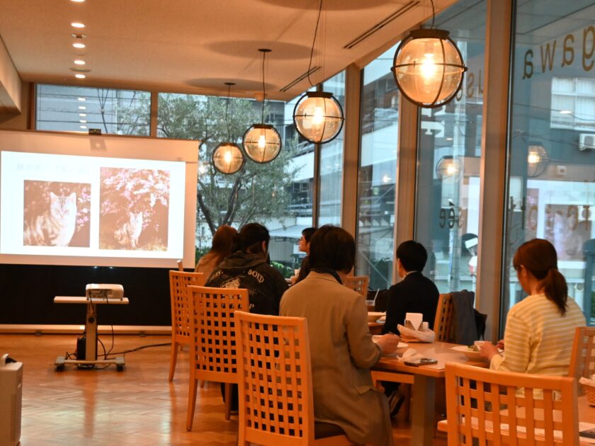 プレミアムナイトツアー「ミステリーナイト」